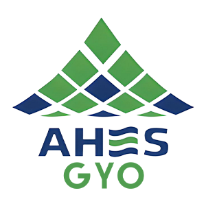AHSGY