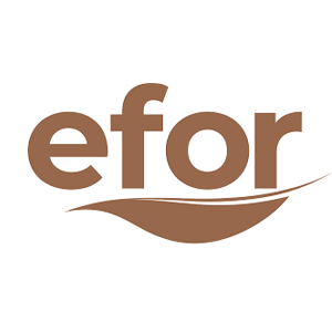 EFOR
